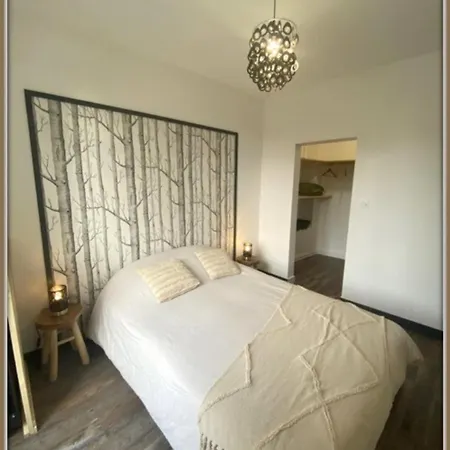 T2 Confort Hyper Centre * Mont-Dore